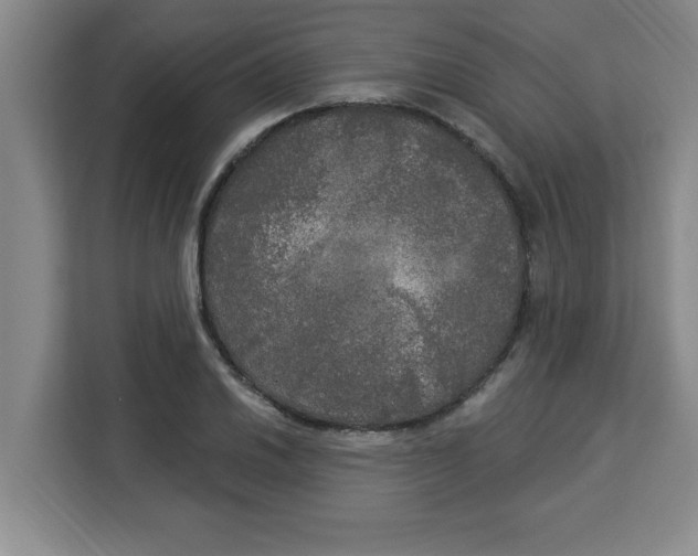 X0000113921030200910221349