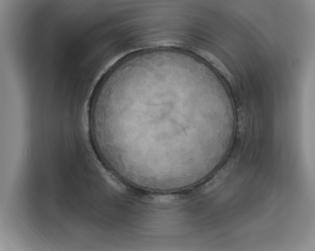 X0000113921031200910221349
