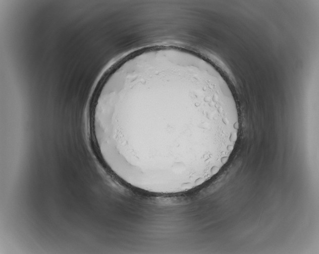 X0000113921032200910221349