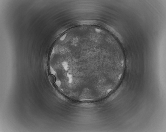 X0000113921033200910221349