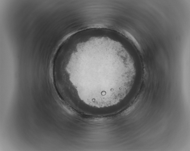 X0000113921035200910221349