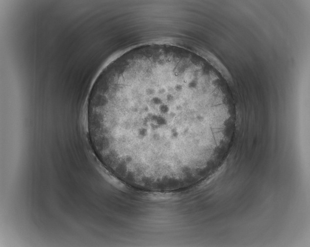 X0000113921036200910221349