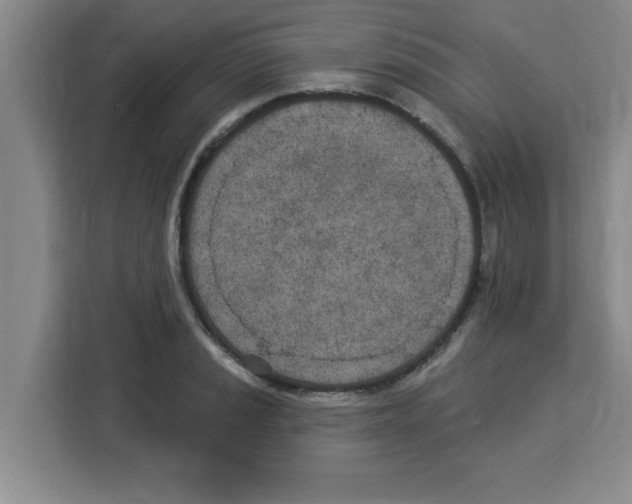 X0000113921037200910221349