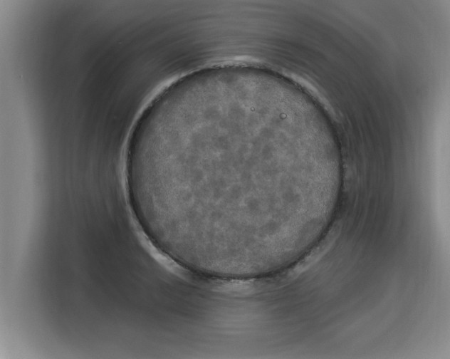 X0000113921038200910221349