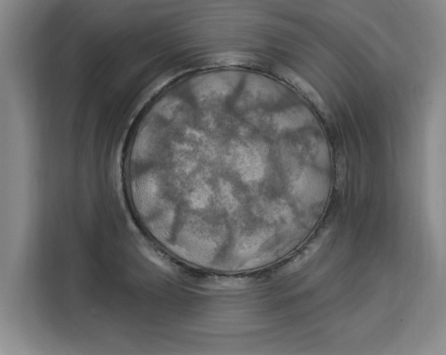 X0000113921039200910221349