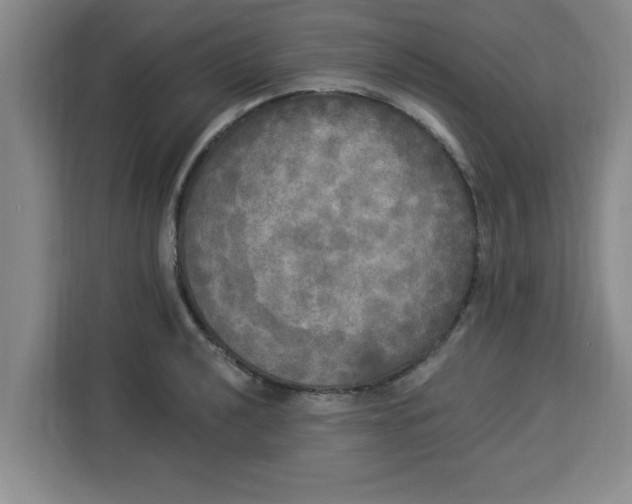 X0000113921040200910221349