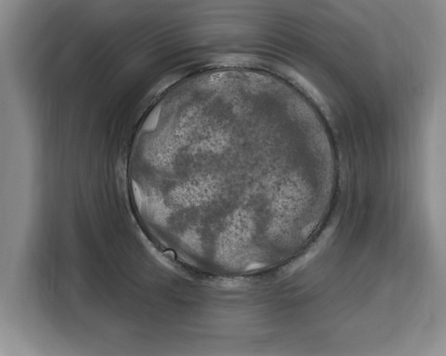 X0000113921041200910221349