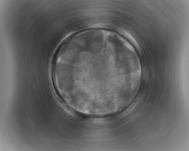 X0000113921043200910221349