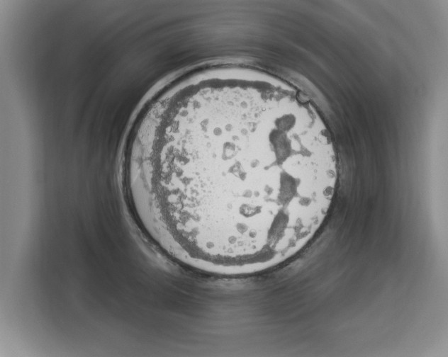 X0000113921044200910221349