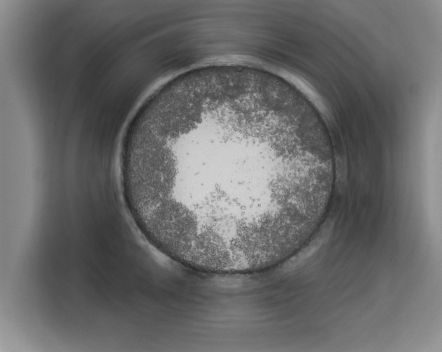 X0000113921046200910221349
