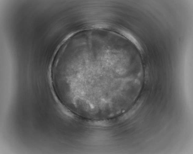 X0000113921047200910221349