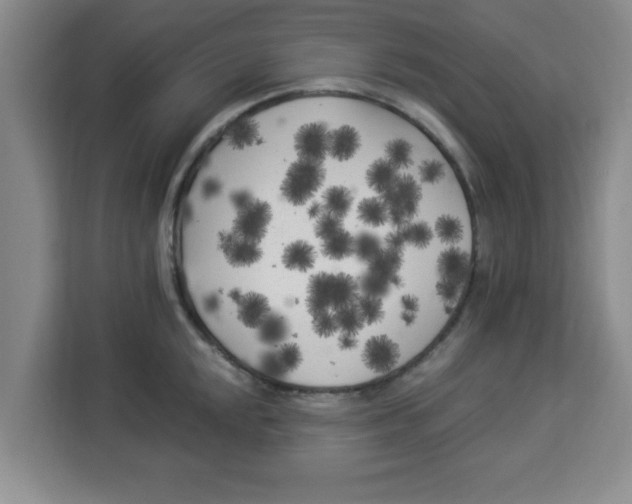 X0000113921048200910221349