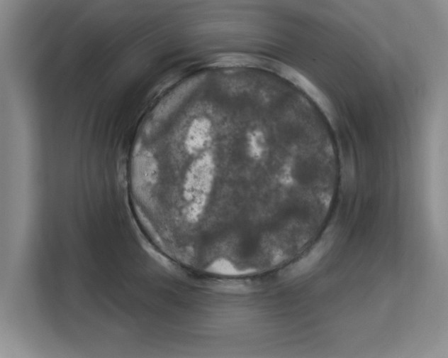 X0000113921049200910221349