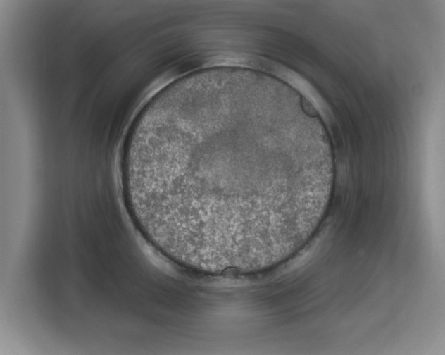 X0000113921050200910221349