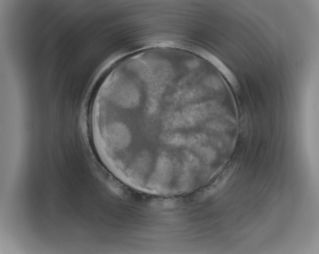 X0000113921051200910221349
