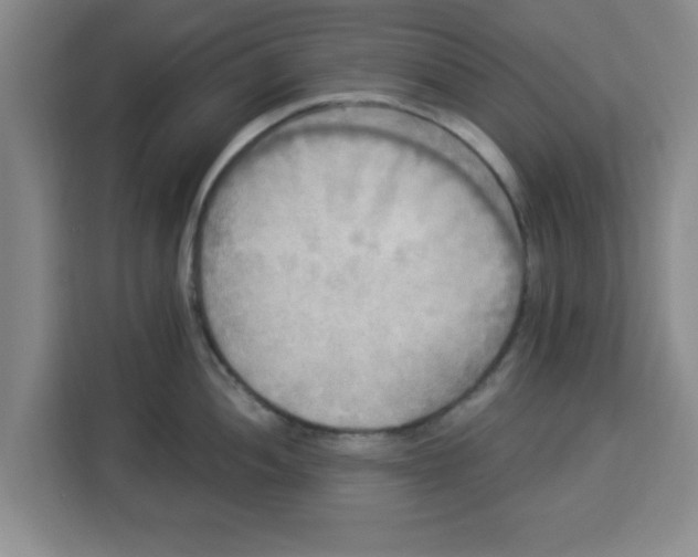 X0000113921052200910221349