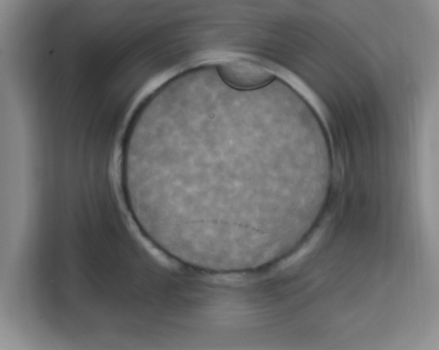 X0000113921053200910221350