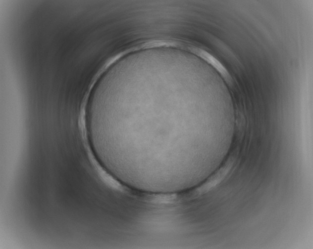X0000113921055200910221350
