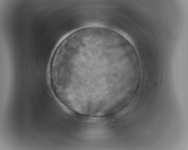 X0000113921056200910221350