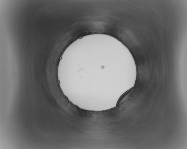 X0000113921057200910221349