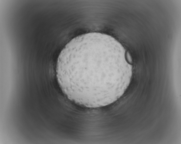 X0000113921058200910221349