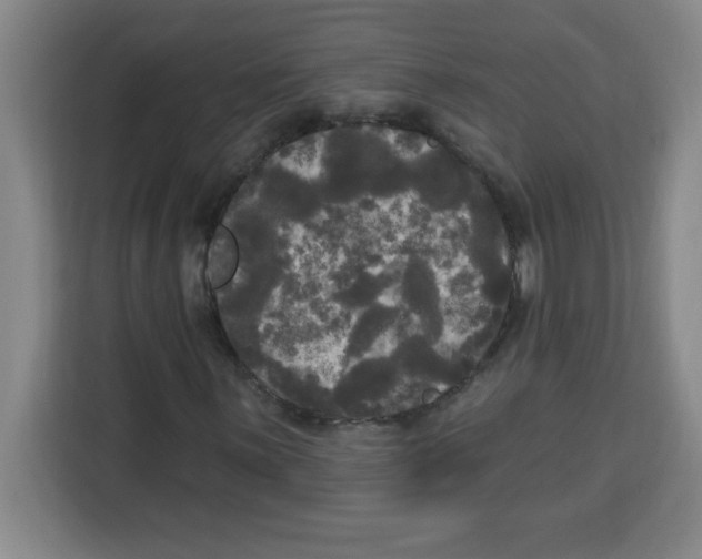X0000113921059200910221349
