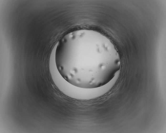 X0000113921060200910221349