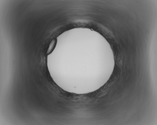 X0000113921061200910221349