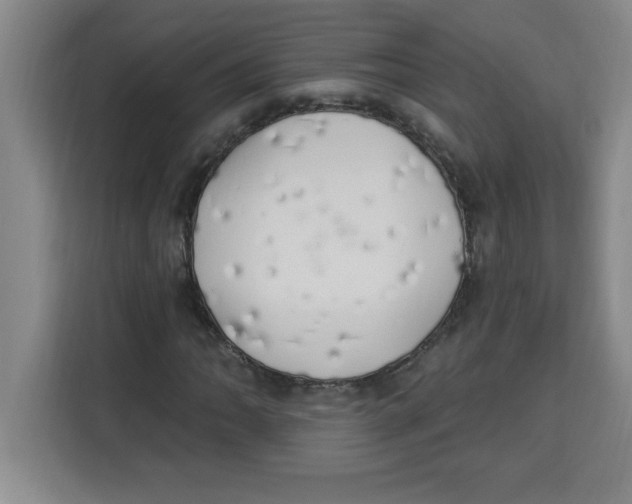 X0000113921062200910221349