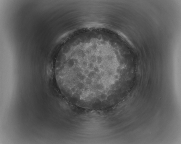 X0000113921063200910221349