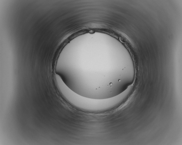 X0000113921065200910221349