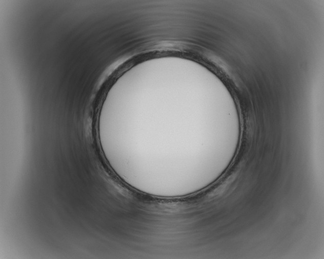 X0000113921066200910221349