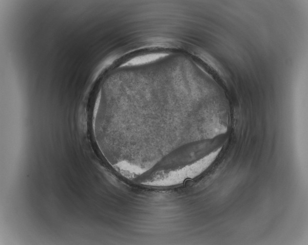 X0000113921067200910221349