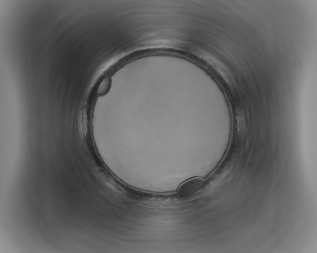 X0000113921069200910221349