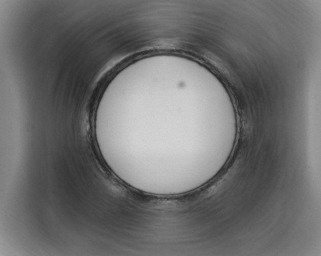 X0000113921070200910221349