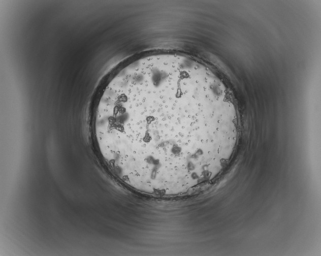 X0000113921071200910221349