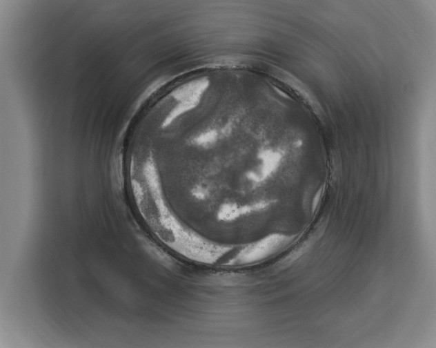 X0000113921075200910221349