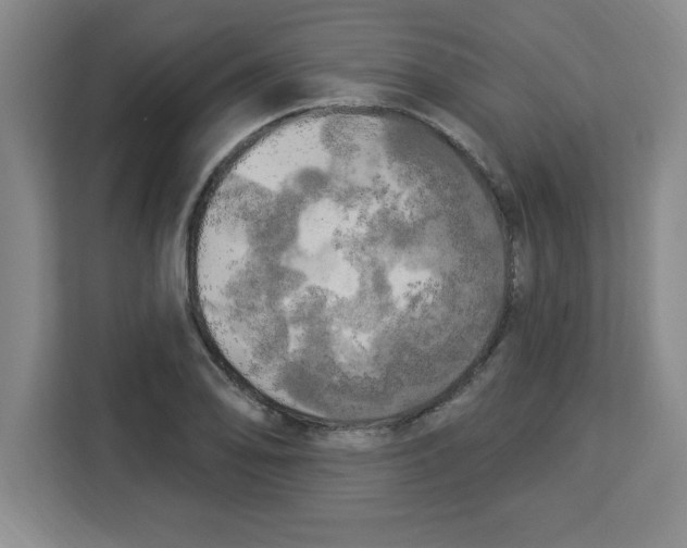 X0000113921078200910221349