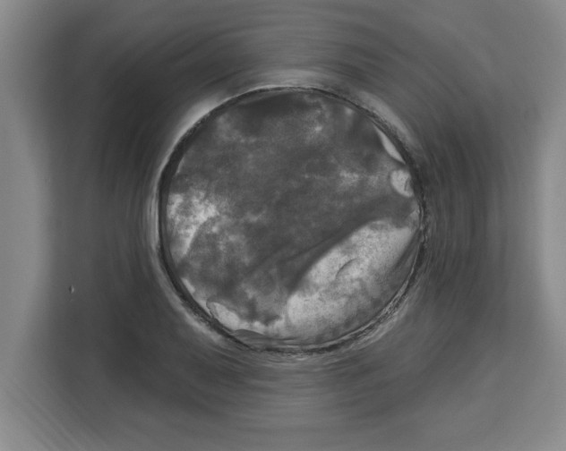 X0000113921079200910221349
