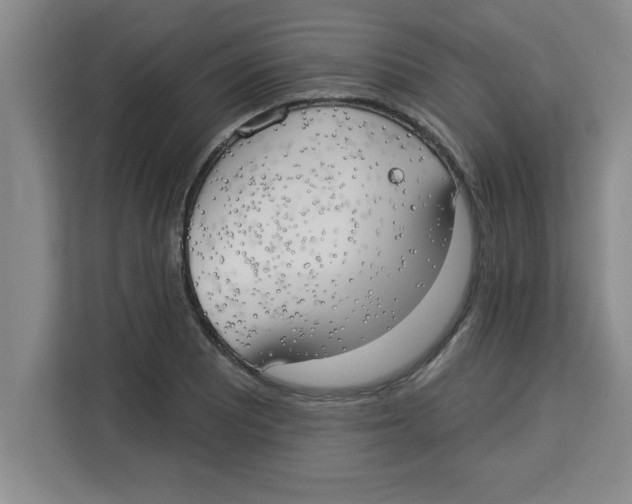 X0000113921081200910221349