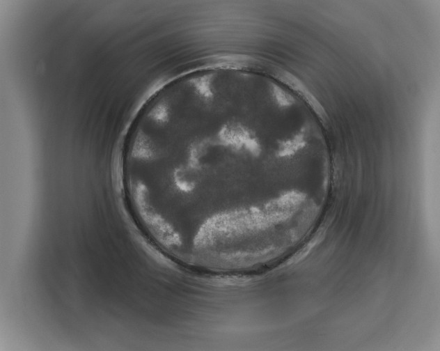 X0000113921083200910221349