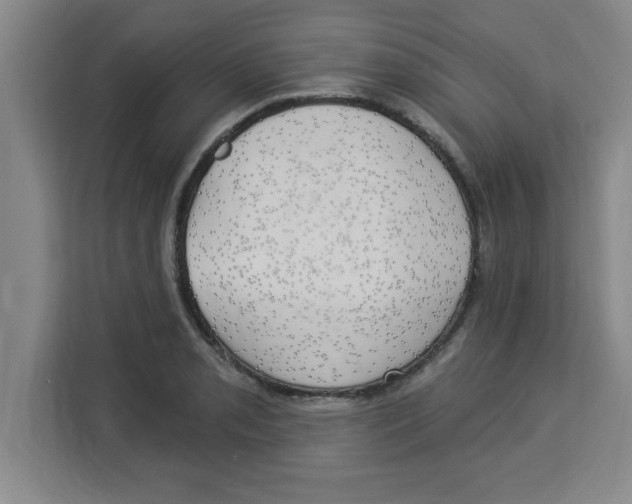 X0000113921085200910221349