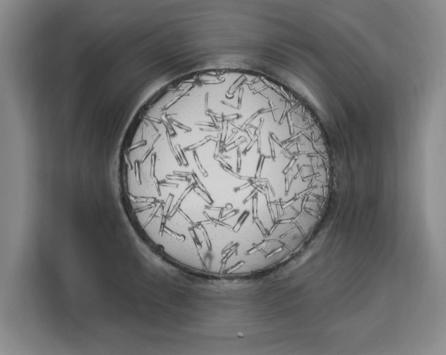 X0000113921087200910221349