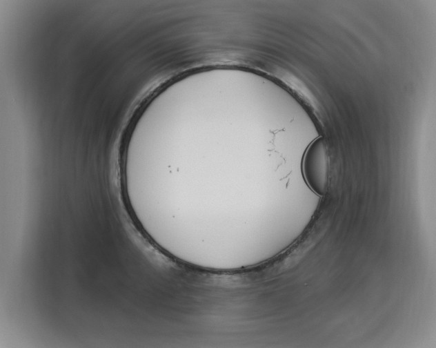 X0000113921088200910221349
