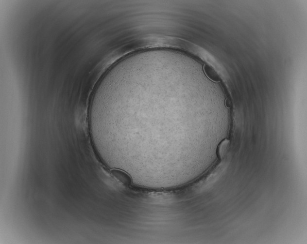X0000113921089200910221349