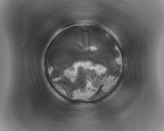 X0000113921091200910221348