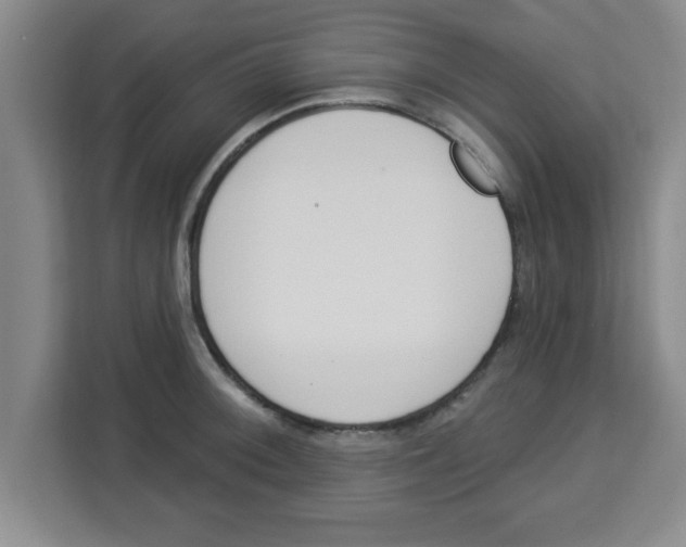 X0000113921092200910221348