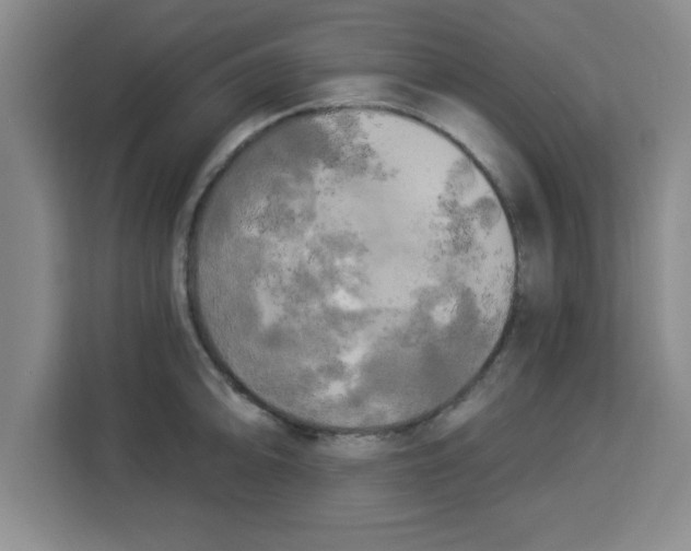 X0000113921094200910221348