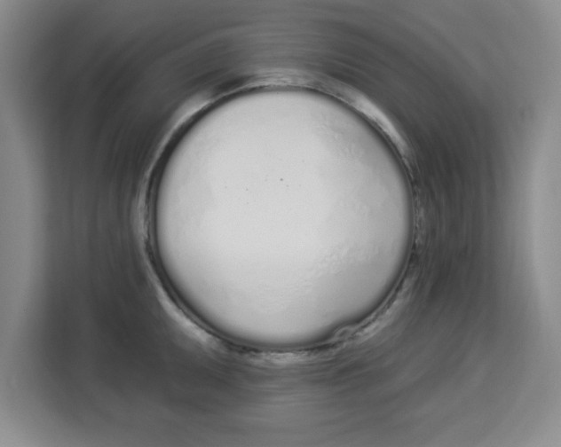 X0000113921095200910221348