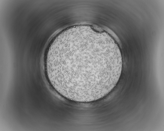 X0000113921096200910221348